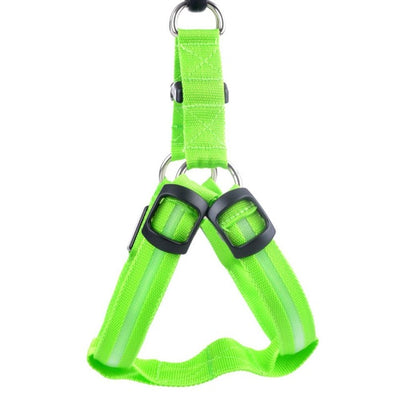 Nylon Pet Safety LED Harness Dog