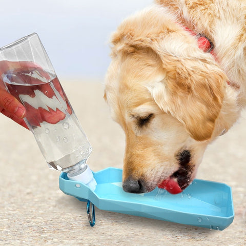 Dog Travel Water Bottle Dispenser